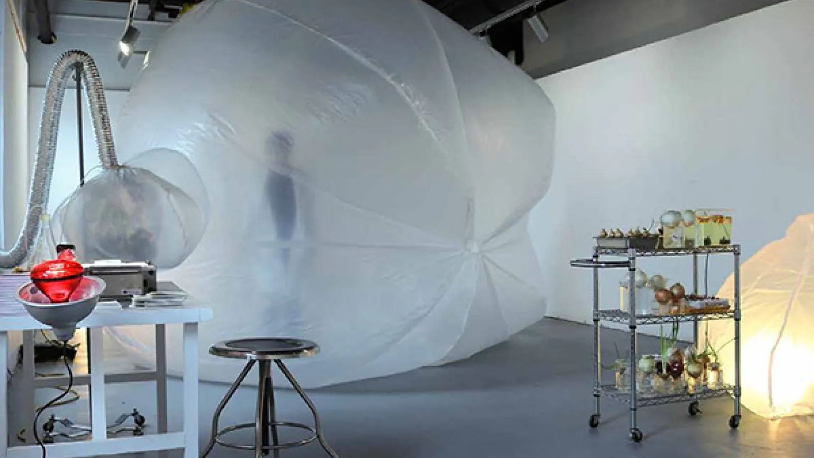 Jacklyn Brickman's studio and project