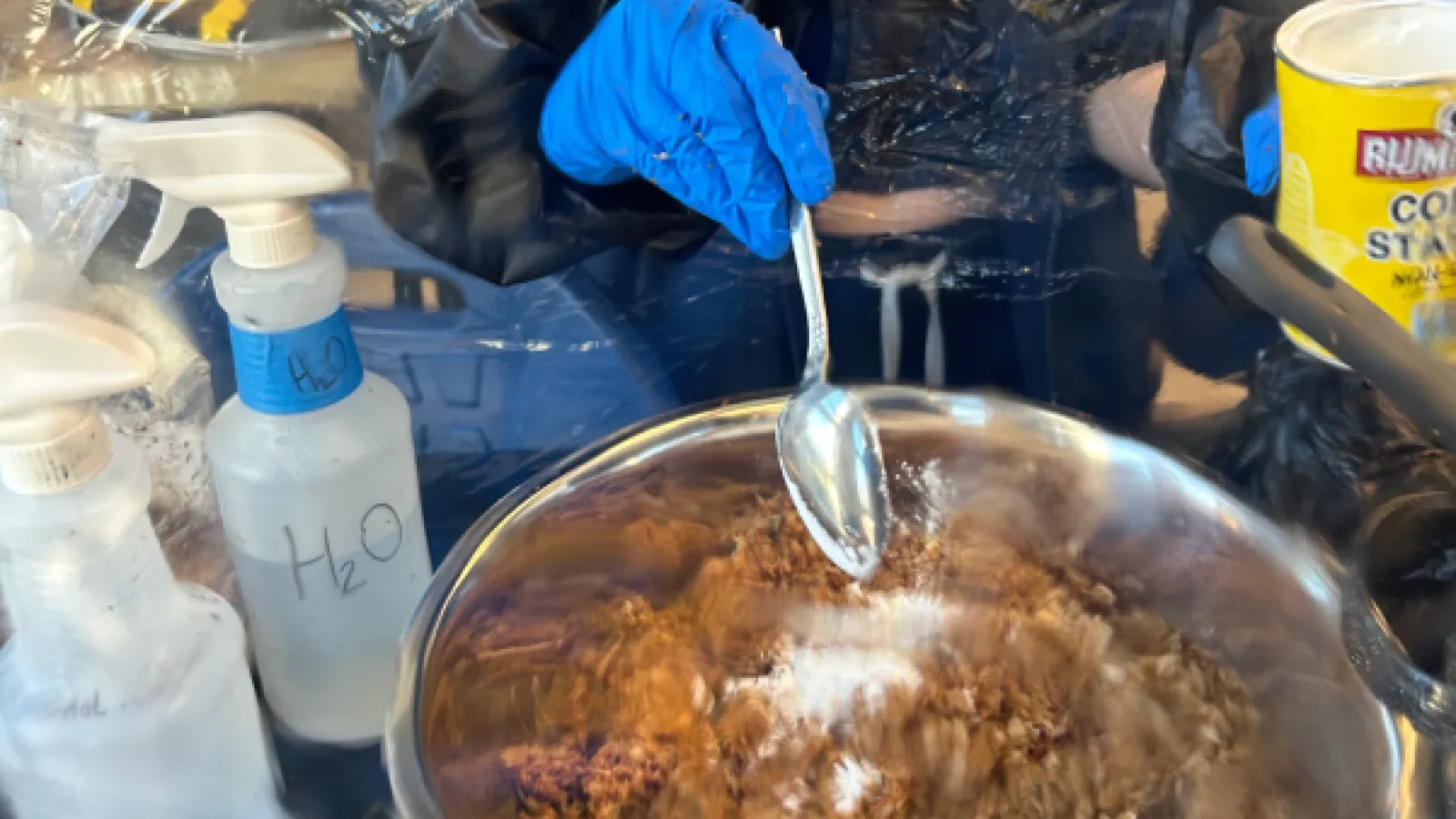 An up-close view of a bowl of wet brown sawdust. A blue gloved hand pours cornstarch into the bowl (cornstarch container visible to the right in their other hand). To the left, two white plastic spray bottles with one labeled “H2O” for water. The image is slightly blurry and the figure’s hands appear to be reaching the bowl through a plastic barrier, giving the impression this experiment is occuring inside a plastic tent for sterilization.